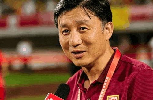 国产本土主帅是谁呀视频,视频揭秘背后的传奇人物