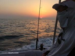 国产海钓大力马视频,揭秘海洋钓具的国产之光