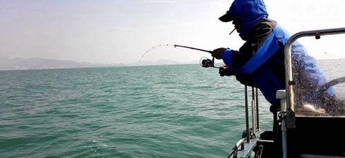 国产海钓大力马视频,揭秘海洋钓具的国产之光