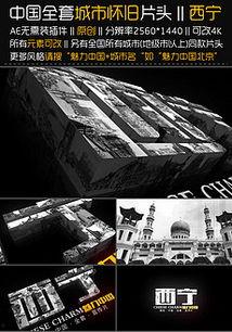 国产老片子素材视频网站