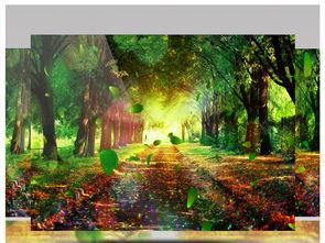 国产风景画视频,国产风景画视频中的自然之美