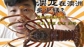 国产澳龙最新视频,品质升级，口感鲜美，引领海鲜市场新潮流