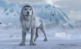 国产澳龙最新视频,品质升级，口感鲜美，引领海鲜市场新潮流