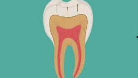 国产动漫蛀牙视频播放,国产动漫中的奇幻冒险之旅