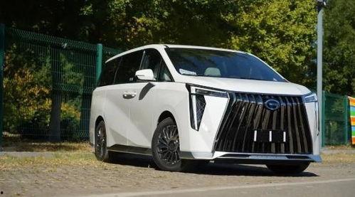 国产汽车封神场面视频,国产之光，驰骋天地