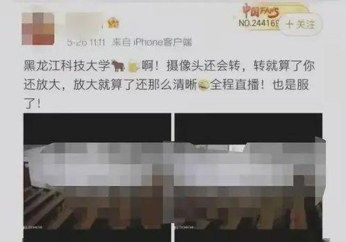 黑龙江科技大学视频国产,传承与创新，国产生态视域下的教育探索