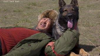 国产狼犬高清视频,高清视频中的英勇瞬间