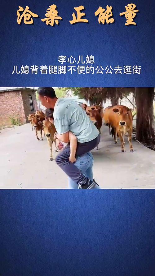 国产励志感动视频,国产励志感动视频中的青春力量