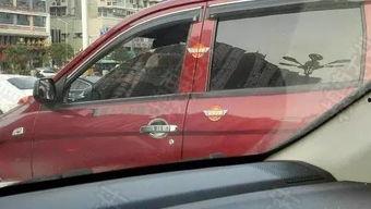 国产审车视频,视频揭秘