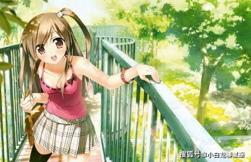 国产动漫美女领盒饭视频,悲壮瞬间，情感共鸣