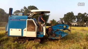 国产深水田收割机视频,高效作业，助力农业现代化