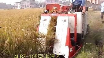 国产深水田收割机视频,高效作业，助力农业现代化