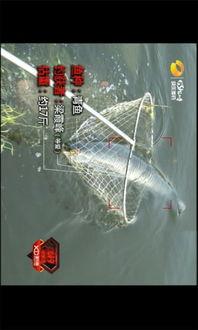 国产并继钓鱼视频,跟随视频领略钓鱼新风尚