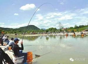 国产并继钓鱼视频,跟随视频领略钓鱼新风尚