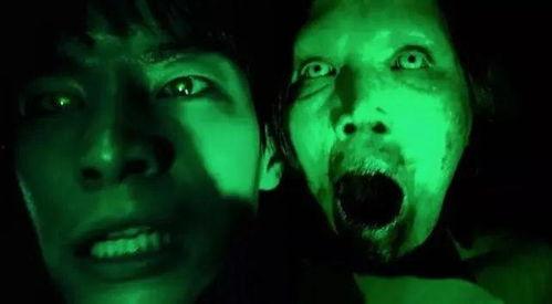 爆笑恐怖视频国产版,爆笑恐怖视频，笑中带泪的惊悚之旅