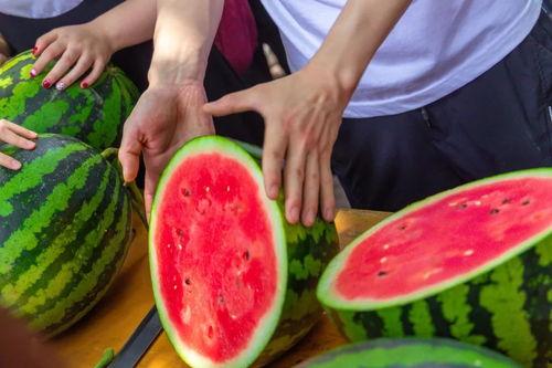 国产大学吃瓜视频,吃瓜视频背后的真实故事