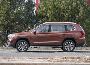 国产大型越野车越野视频,国产大型越野车极限越野挑战全纪录