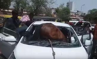 国产车会失控吗视频,揭秘国产车安全性能之谜