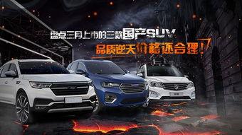 国产车视频大全观看,视频大全中的创新与实力