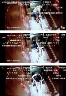 国产家暴的视频大全,国产家暴视频大全深度解析