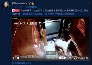 国产家暴的视频大全,国产家暴视频大全深度解析