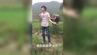 国产情侣福利视频在线看,在线观看甜蜜瞬间