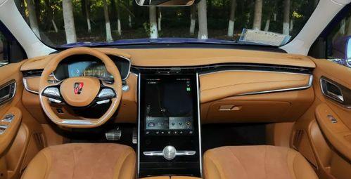 国产车买不起视频