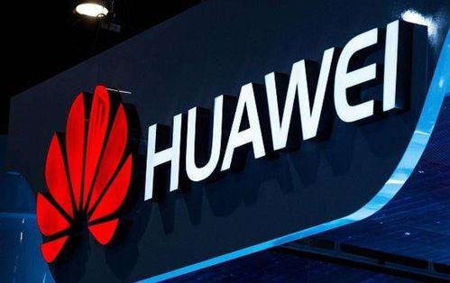 支持国产霸气视频,致敬民族品牌的力量与荣耀