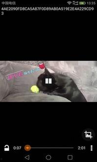 国产午夜A短视频,揭秘夜幕下的青春魅力