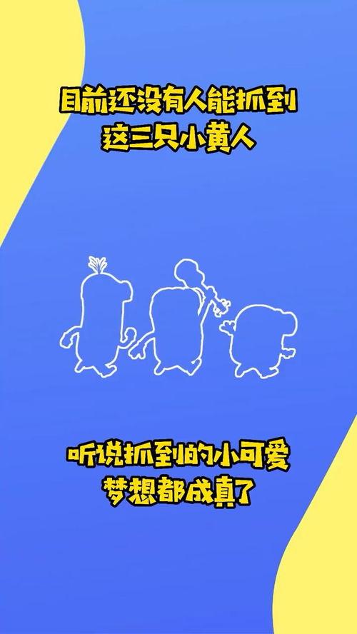 国产大神动画视频网站,揭秘国内大神级动画视频网站的魅力