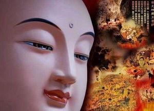 国产纯佛长大的视频,见证自然之美与生命奇迹