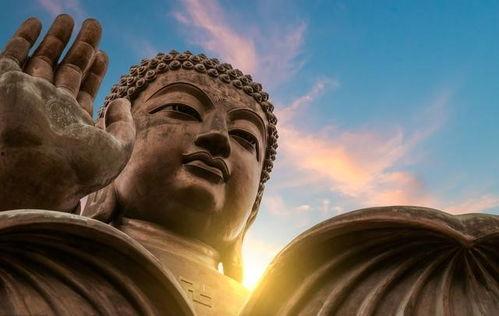 国产纯佛长大的视频,见证自然之美与生命奇迹