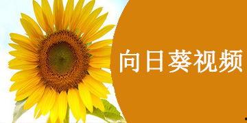 向日葵视频下载国产,向日葵视频下载的本土创新之旅
